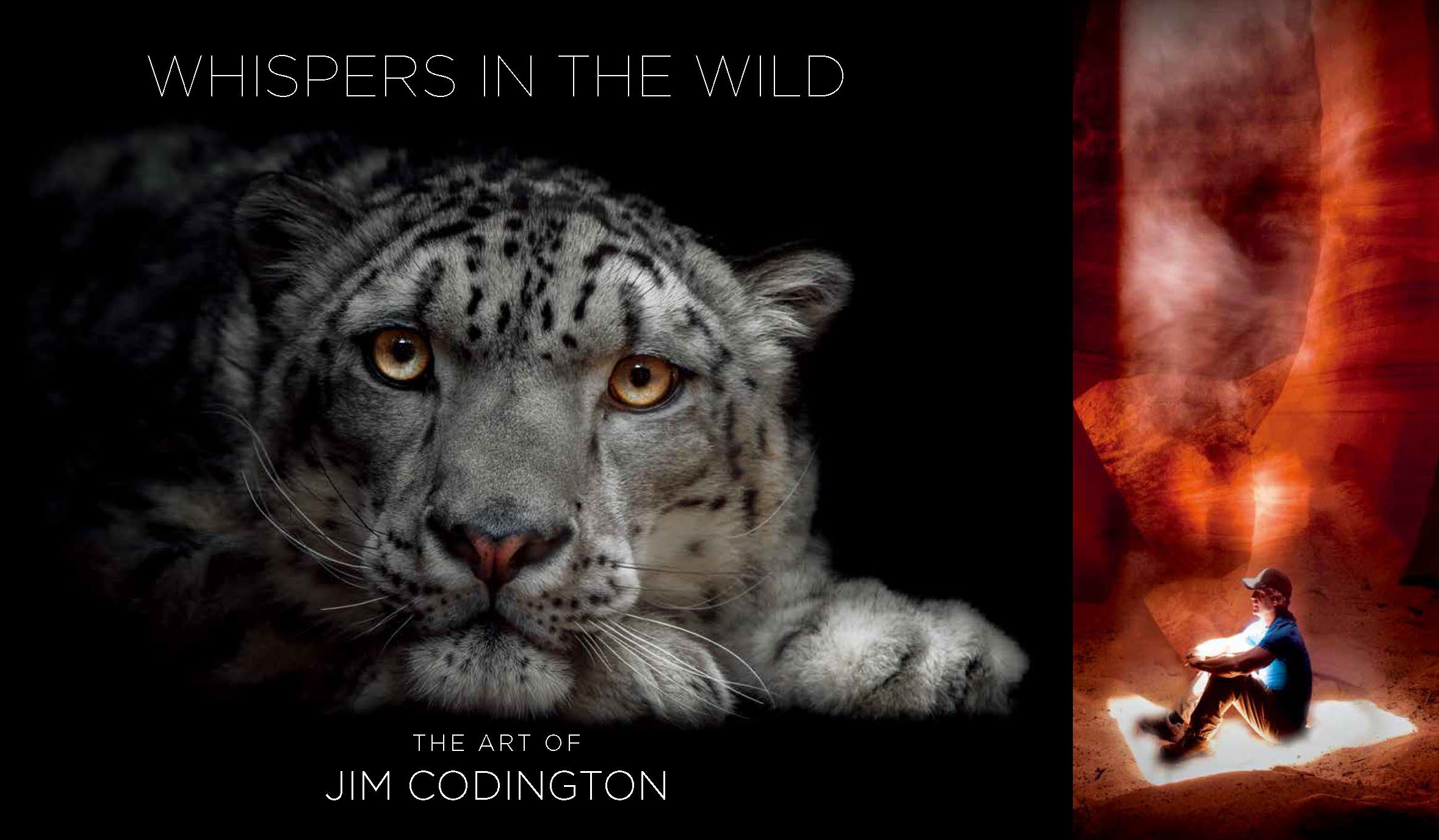 Whispers in the Wild